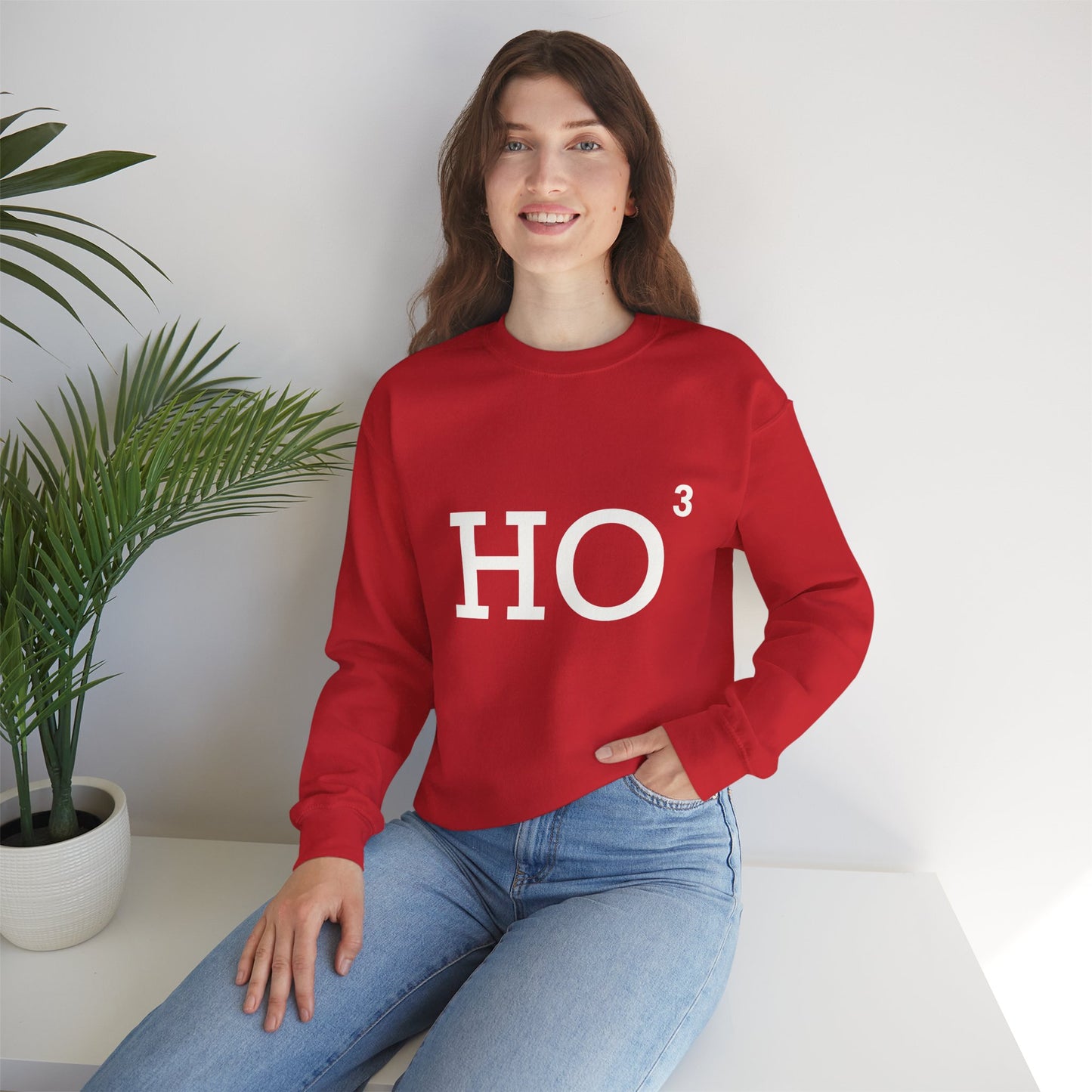 HO³ - Christmas Sweatshirt